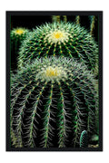 Poster Cactos - Flores