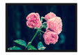 Poster Rosa - Flores