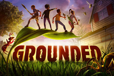 Poster Grounded - Games