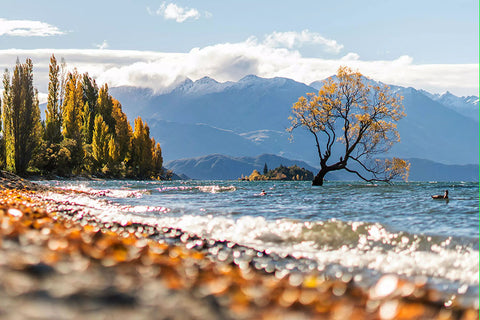 Poster Lagos - Lake - Paisagens