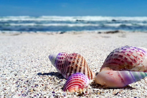 Poster Praia - Paisagens