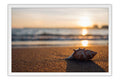 Poster Praia - Paisagens