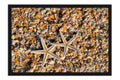 Poster Praia - Paisagens
