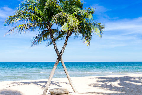 Poster Praia - Paisagens