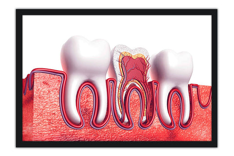 Poster Odontologia - Odontology - Profissões