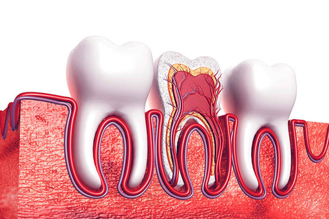 Poster Odontologia - Odontology - Profissões