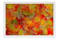 Poster Texturas