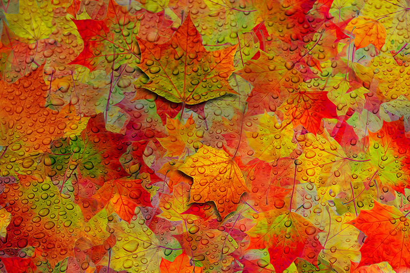 Poster Texturas