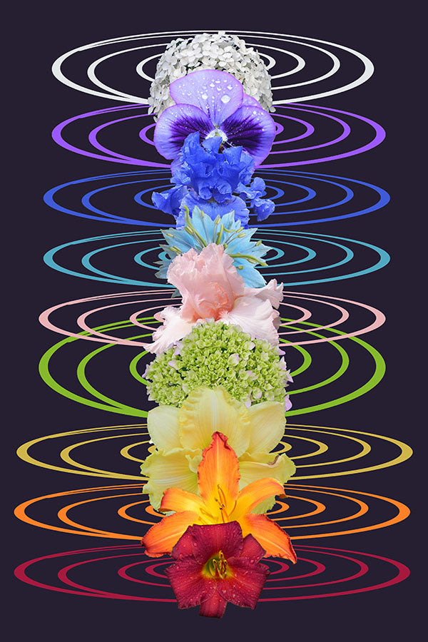 Poster Yoga - Meditação - Meditation - Chakra