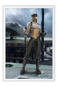 Poster Mortal Kombat Vs. DC Universe - Sonya Blade - Games