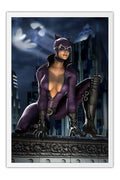 Poster Mortal Kombat Vs. DC Universe - Catwoman - Games