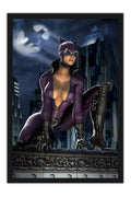 Poster Mortal Kombat Vs. DC Universe - Catwoman - Games