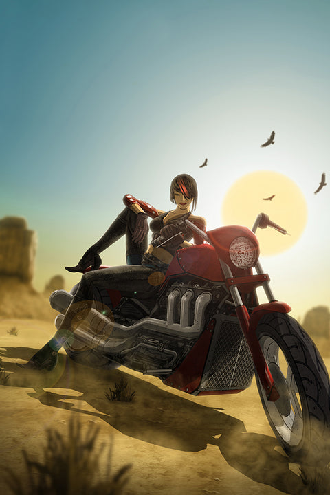 Poster Red Steel 2 - Games