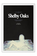 Poster Terror em Shelby Oaks - Filmes