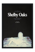 Poster Terror em Shelby Oaks - Filmes