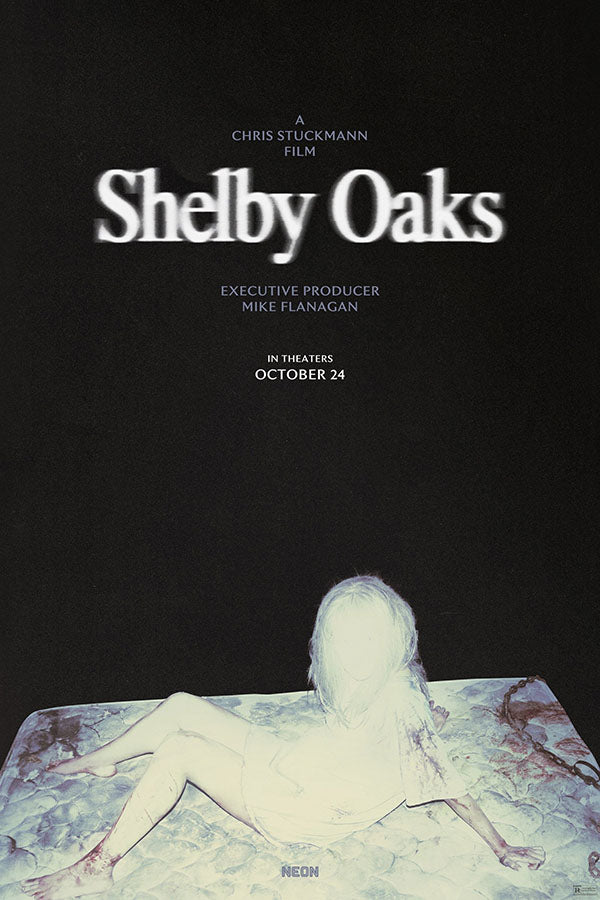 Poster Terror em Shelby Oaks - Filmes