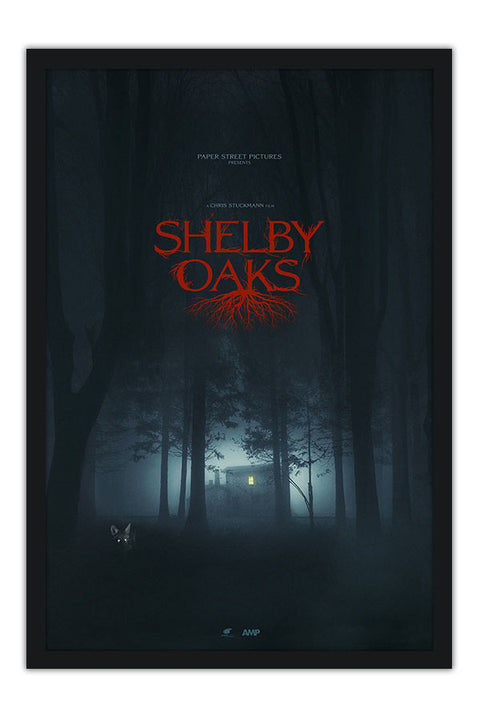 Poster Terror em Shelby Oaks - Filmes