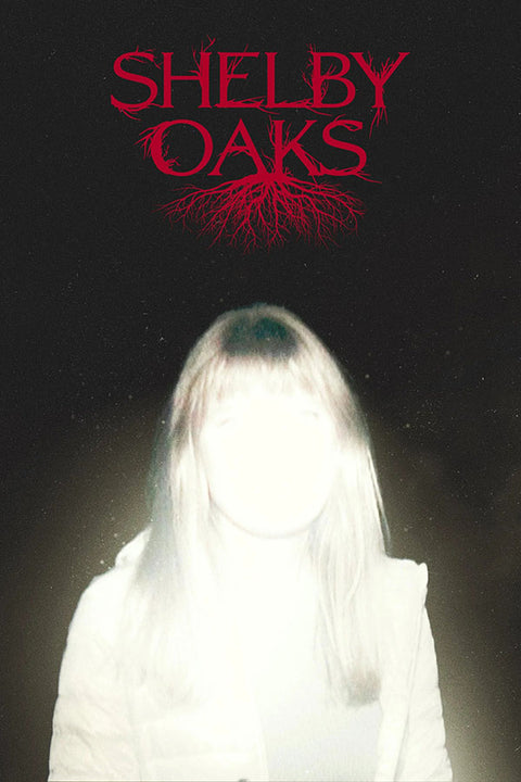 Poster Terror em Shelby Oaks - Filmes