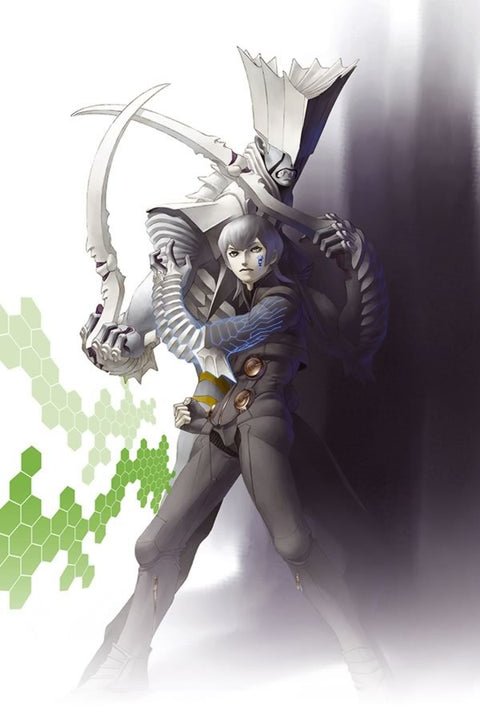 Poster Shin Megami Tensei - Games