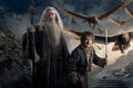 Poster O Hobbit - Gandalf - Filmes