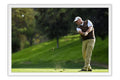 Poster Rocco Mediate - Golfe - Esportes