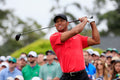 Poster Tiger Woods - Golfe - Esportes