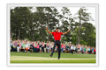 Poster Tiger Woods - Golfe - Esportes