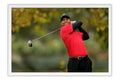Poster Tiger Woods - Golfe - Esportes