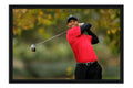 Poster Tiger Woods - Golfe - Esportes
