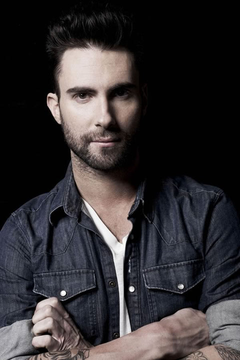 Poster Maroon 5 - Bandas de Rock