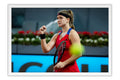 Poster Karolina Muchova - Tênis - Esportes