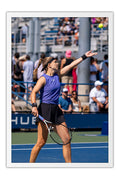 Poster Karolina Muchova - Tênis - Esportes