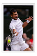 Poster Novak Djokovic - Tênis - Esportes