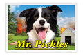 Poster Mr. Pickles - Filmes