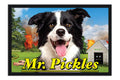 Poster Mr. Pickles - Filmes