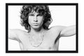 Poster The Doors - Bandas de Rock