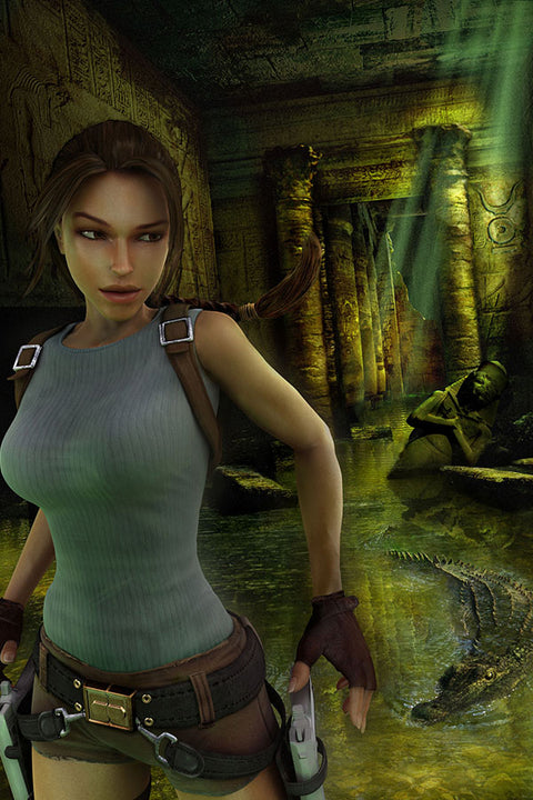 Poster Tomb Raider Anniversary  - Games