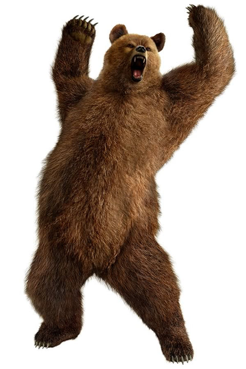 Poster Tekken - Kuma - Games