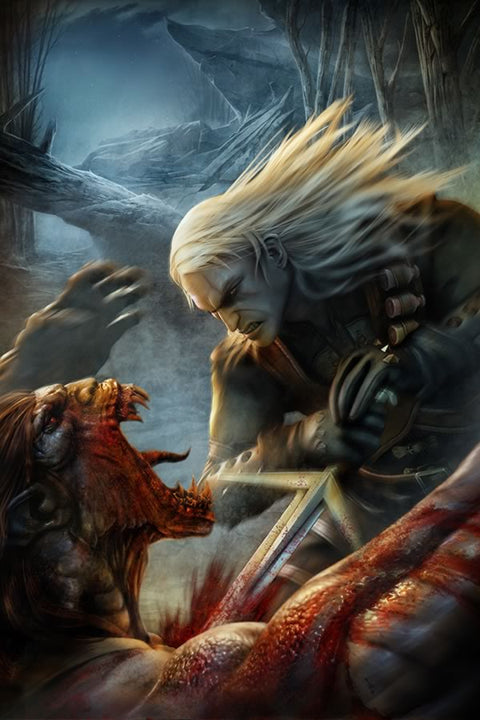 Poster The Witcher - Games