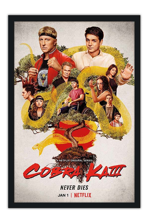 Poster Cobra Kai - Karate Kid - Séries