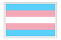 Poster Bandeira Trans - Transexual - Orgulho - Bandeiras