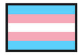Poster Bandeira Trans - Transexual - Orgulho - Bandeiras