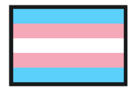 Poster Bandeira Trans - Transexual - Orgulho - Bandeiras