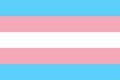 Poster Bandeira Trans - Transexual - Orgulho - Bandeiras