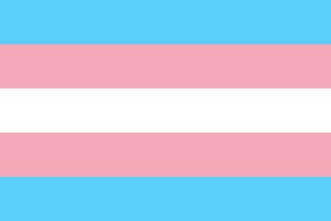 Poster Bandeira Trans - Transexual - Orgulho - Bandeiras