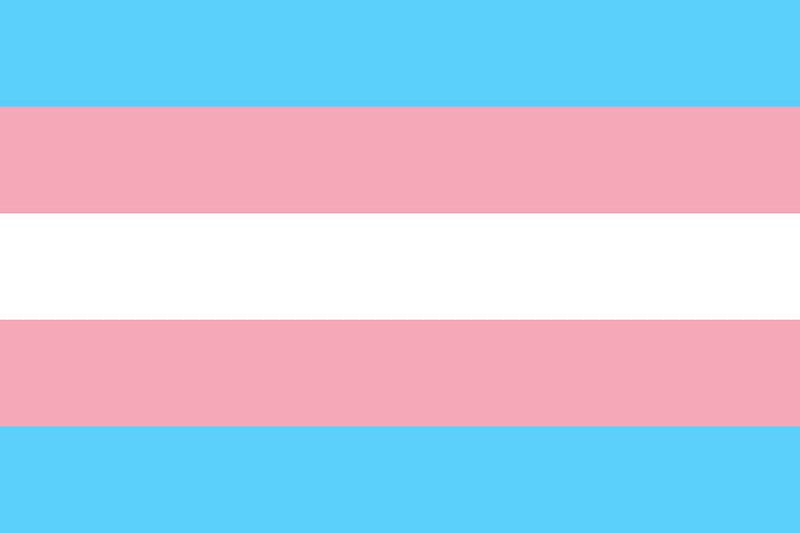 Poster Bandeira Trans - Transexual - Orgulho - Bandeiras