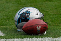 Poster Carolina Panthers - Futebol Americano - NFL