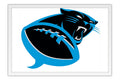 Poster Carolina Panthers - Futebol Americano - NFL