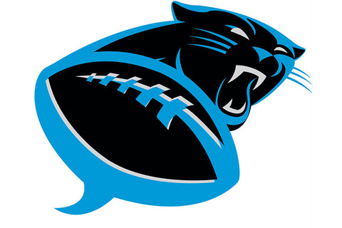Poster Carolina Panthers - Futebol Americano - NFL