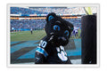 Poster Carolina Panthers - Futebol Americano - NFL